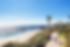 Laguna Beach view from the top of a hill