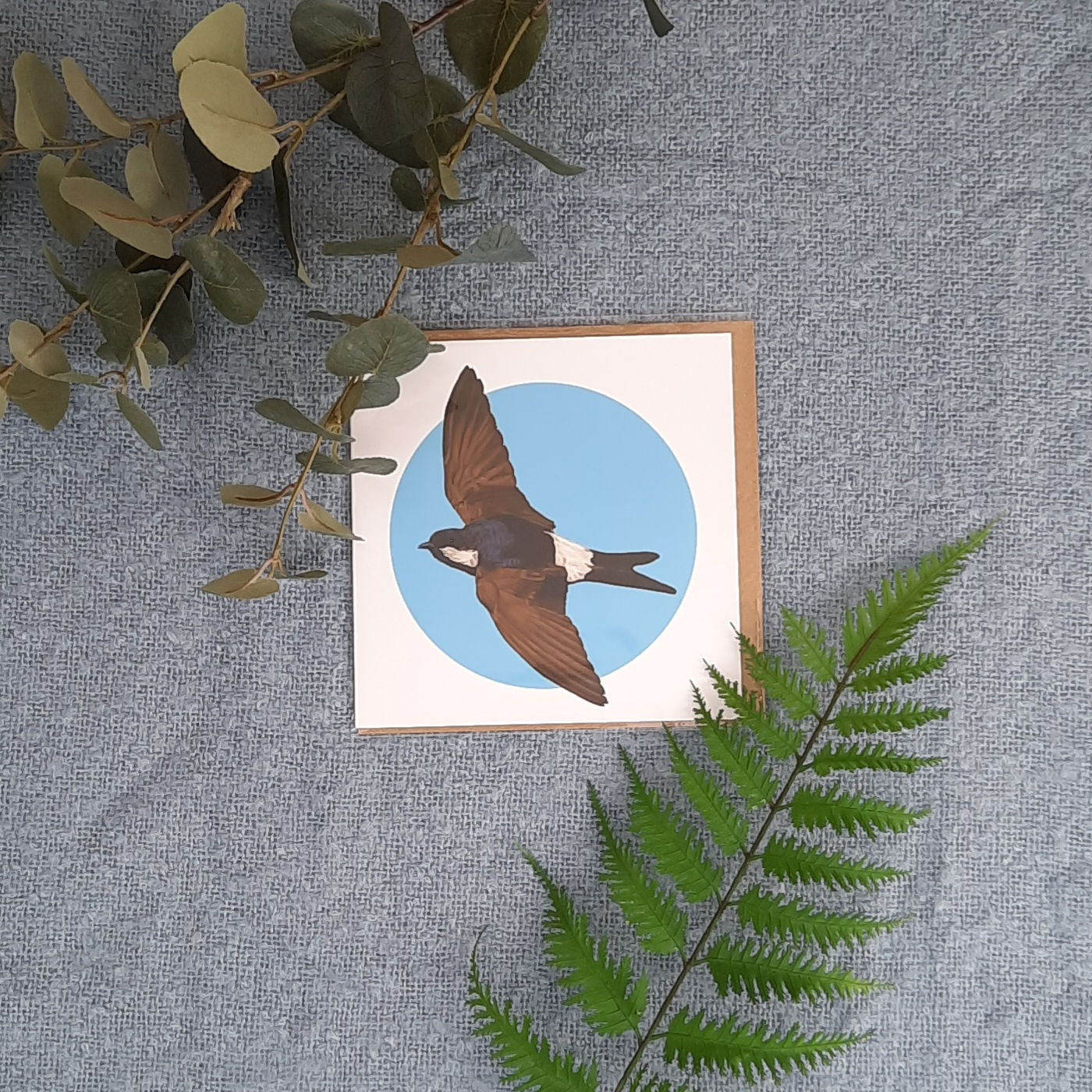 House Martin Greetings Card