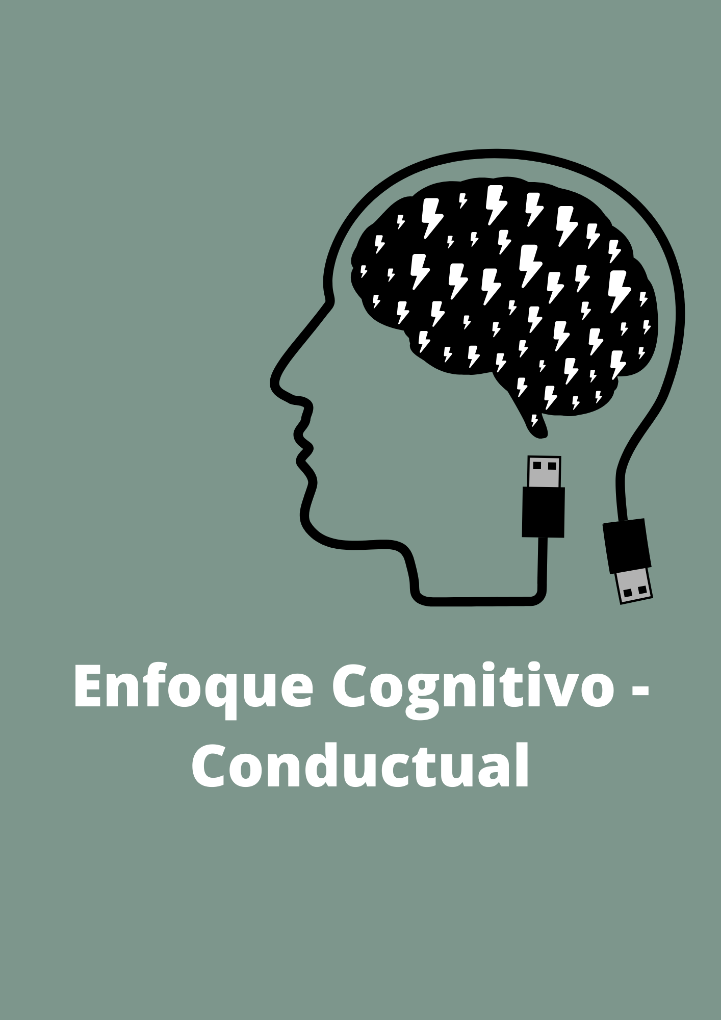 Terapia Cognitivo Conductual