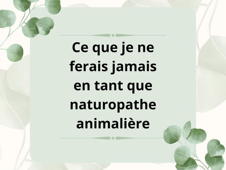 Ce que je ne ferais jamais
