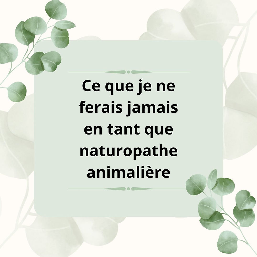 Ce que je ne ferais jamais