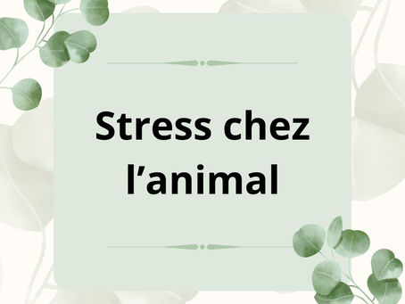 Stress chez l'animal