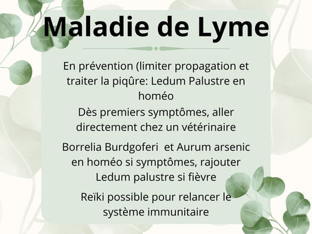 Maladie de Lyme