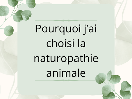 Pourquoi j'ai choisi la naturopathie