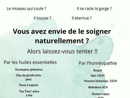 Votre animal a une rhume ?