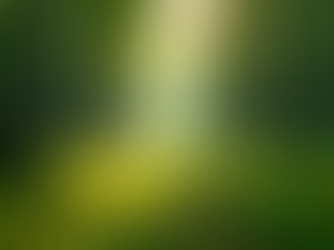 Navigating ESG Compliance in Modern Business Environments