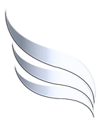 left and right wings