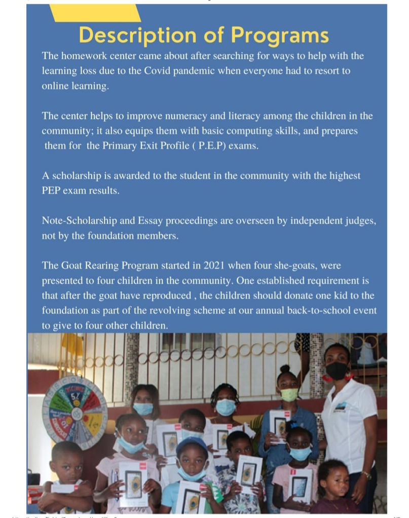 Bridgeview Foundation Brochure - Description of Programs