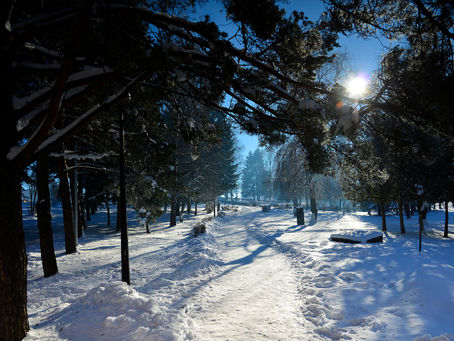 ZIMSKA IDILA, SOKOLAC OPET BEZ VODE