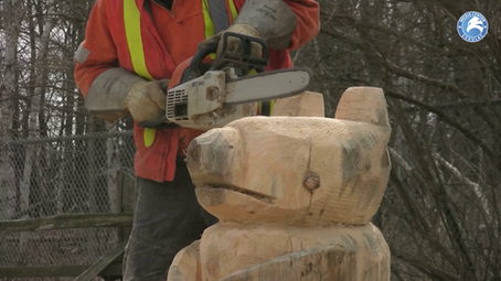 IZ DALEKIH SVIJETOVA