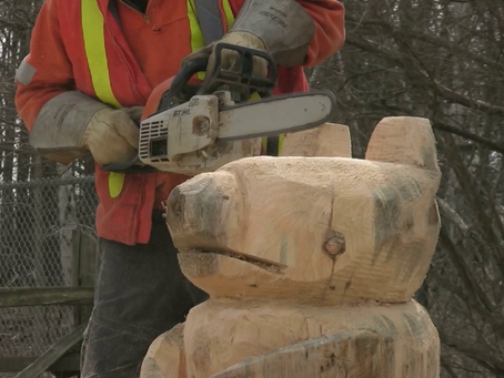 IZ DALEKIH SVIJETOVA