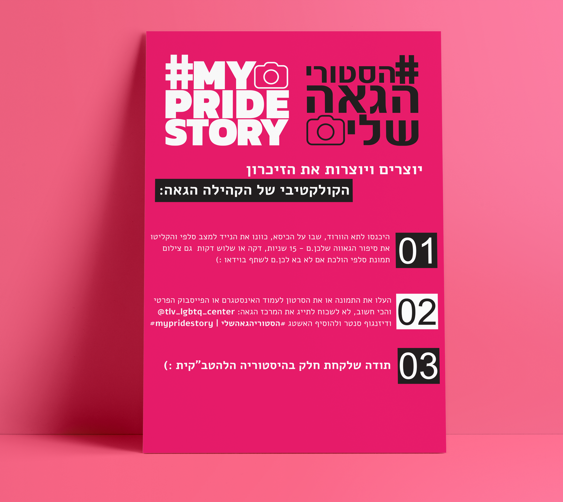 דף הוראות לשימוש בתא הוידוי