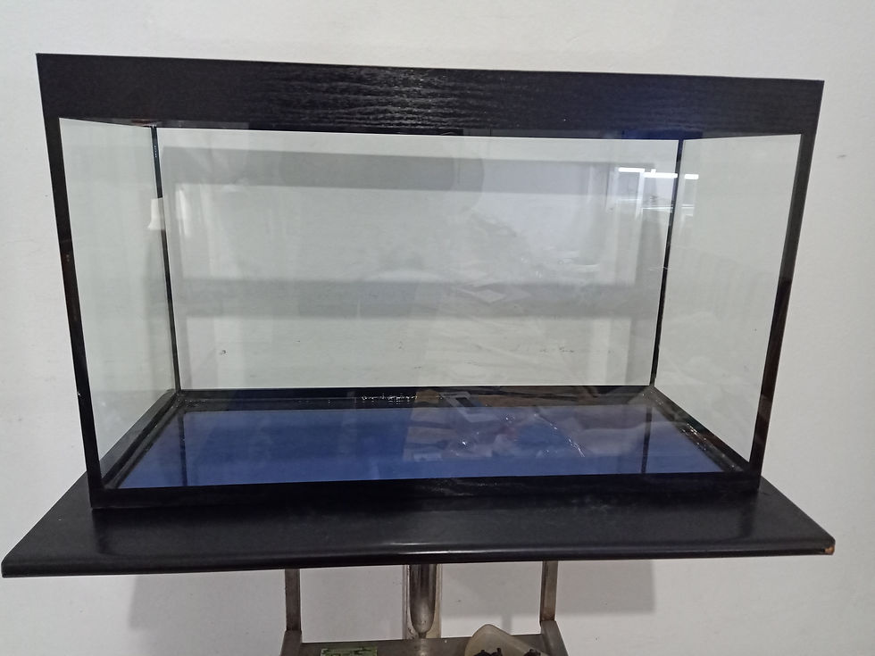 الصورة المصغرة: Aquarium Rectangulaire XL (66L)