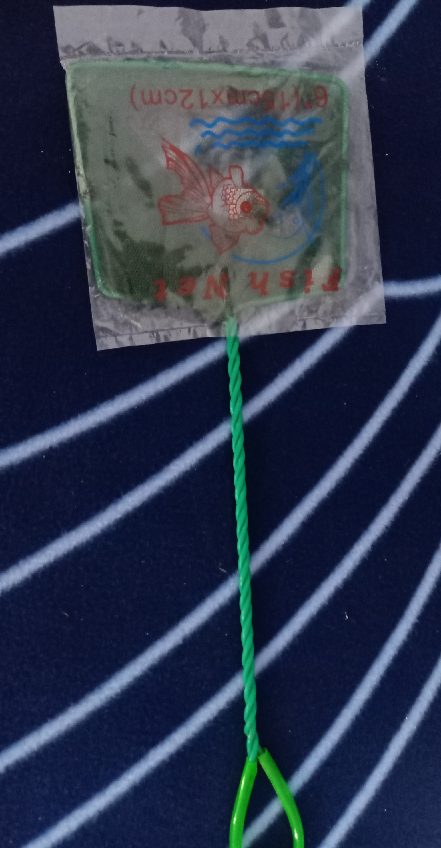 Epuisette
