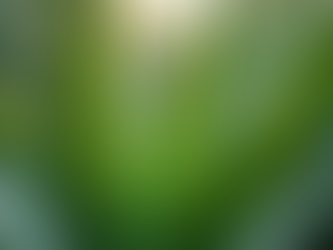 The Power of Organic Skincare Benefits