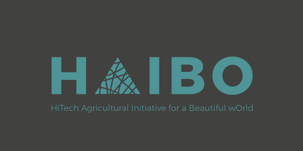 HAIBO App Launch
