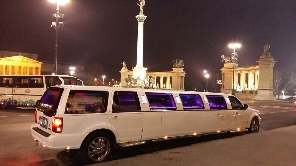 Miniatura: Visita Budapest a bordo di una limousine