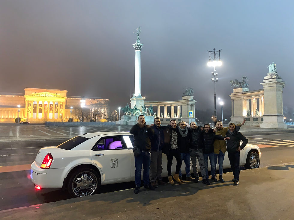 Miniatura: Visita Budapest a bordo di una limousine