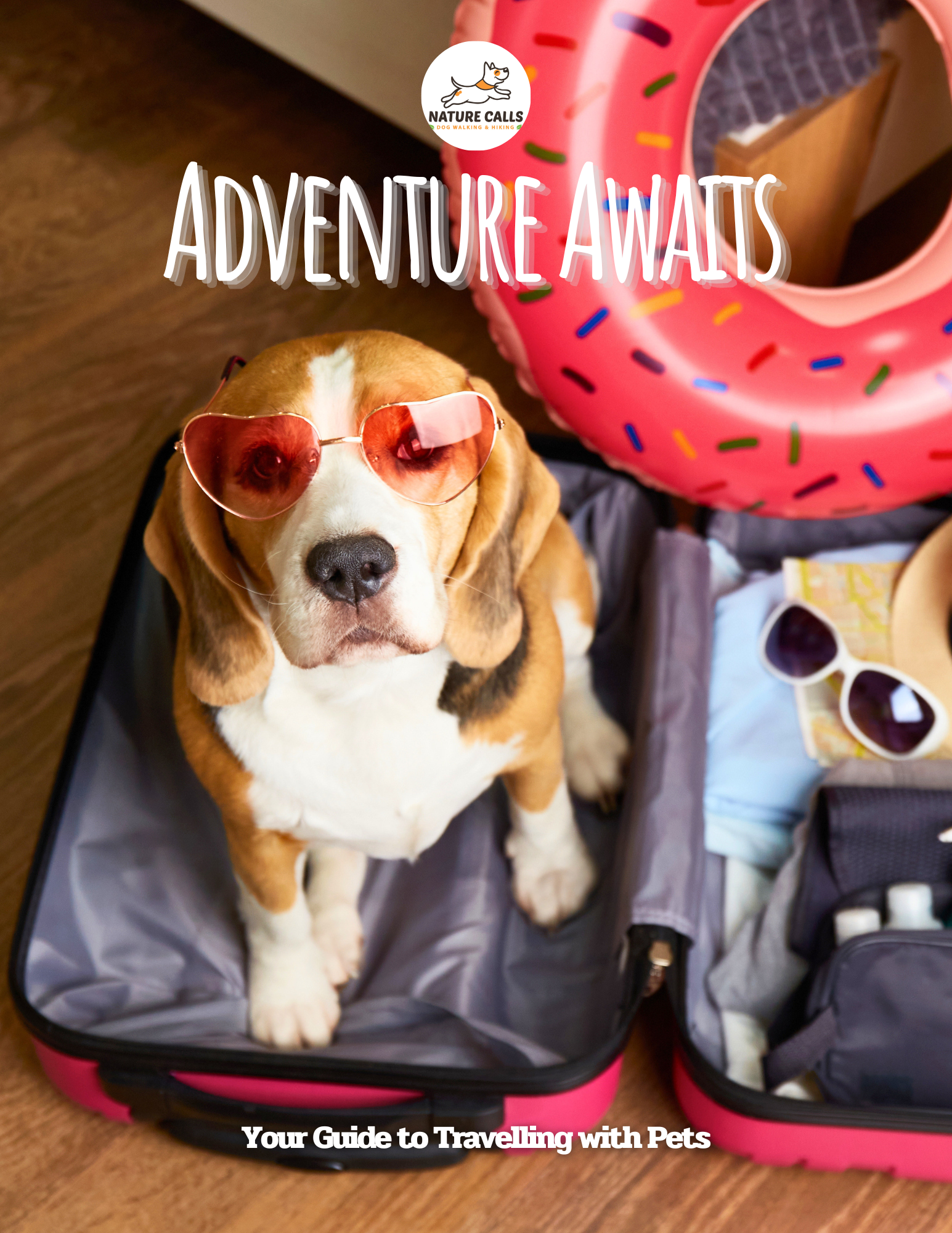 Adventure Awaits: Guide to Travelling with Your Pets