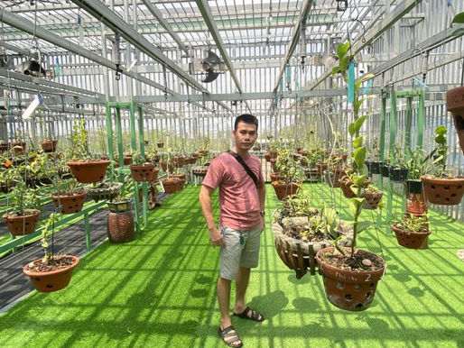 CEO Đỗ Thạch chia sẻ kinh nghiệm trồng lan đột biến
