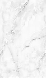 a4a22252ec2fc739bab54b72a95aaa46.jpeg