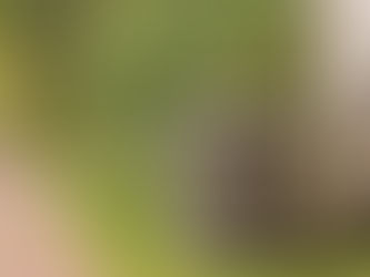 Air conditioner with visible water leak, Coastal Heating and Cooling AC repair and maintenance service for clogged drain lines, frozen coils, refrigerant leaks, and HVAC water damage prevention. Reach out today to help you with why is my ac leaking water, ac leaking water, ac leaking water inside, ac leaking water outside, air conditioner leaking water, ac water leak repair, hvac leaking water, ac drain line clogged, ac condensate drain cleaning, ac coil frozen leaking water, air conditioner maintenance, ac repair services, hvac repair, air conditioning service, ac troubleshooting, ac leaking water repair near me, air conditioner repair near me, ac maintenance near me, hvac service near me, ac replacement, emergency ac repair, ac inspection, residential ac repair, commercial ac repair, coastal heating and cooling services, ac tune up, air conditioning leak detection, hvac system repair, ac water damage prevention.