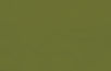 GREEN BG_2x-100.jpg