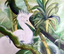Egret