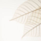 Two Dried Leaves