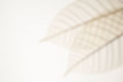 Two Dried Leaves