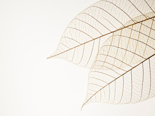How to deal with big changes in your life