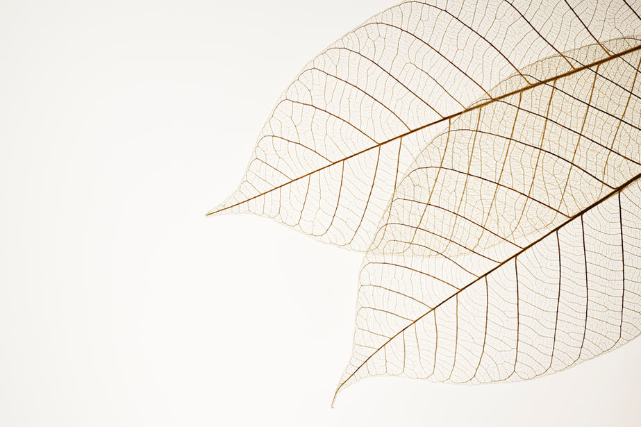 Inspirante Mère nature