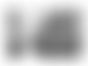 La entrada en Prisión: