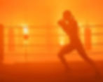 Kickboxing in the ring-Farinaz