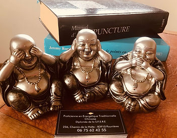 medecine traditionnelle chinoise pourrie