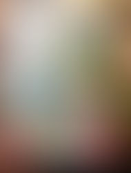 Wildflowers and Rainbows