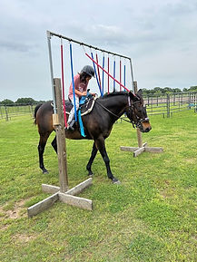 IMG_1256.jpg