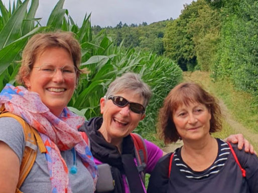 Spazieren hilft gegen Rückenschmerzen!