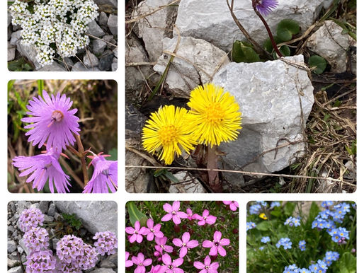 Erinnerungen schaffen