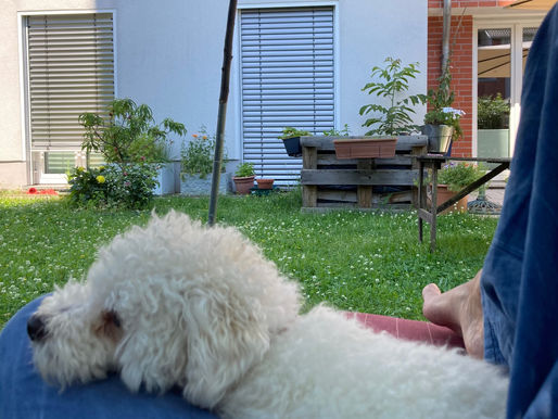 Quod erat demostrandum