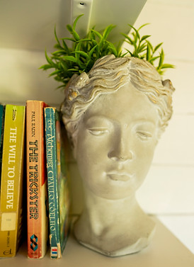 A ceramic bust with a plant arranged like hair and books stacked beside it, representing growth and learning in psychotherapy