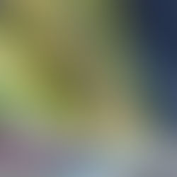 Global Survey on Freelancing 2021. Report.