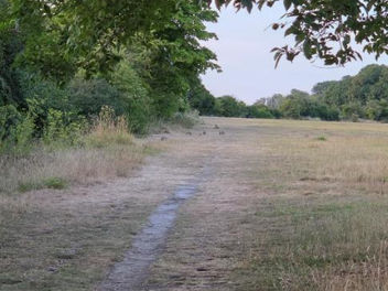 It's dry, dry, very very dry.......