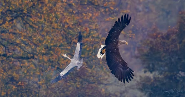 Image: Jeremy Mcclements Facebook