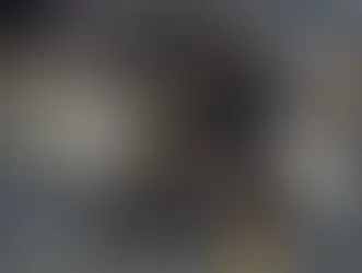 White Tailed Eagle - local sightings