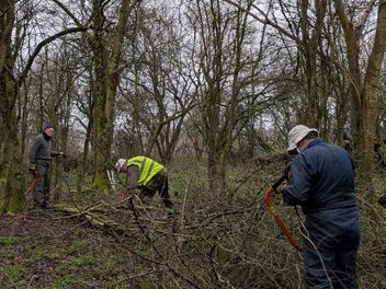 Salisbury Wildlife Group seeks volunteers