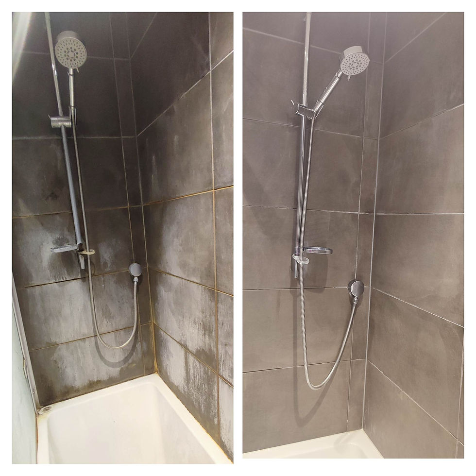 Busy Bee End of Tenancy Cleaning & Airbnb Cleaning Services Haringey