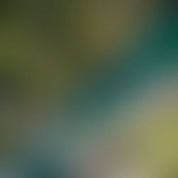 Recap - October 2021 Lunch Program