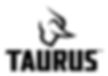 Taurus Logo