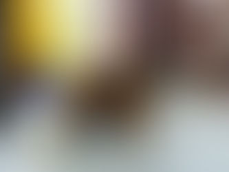 National Dog Show Nitra, SLOVAKIA - 20. 03. 2011